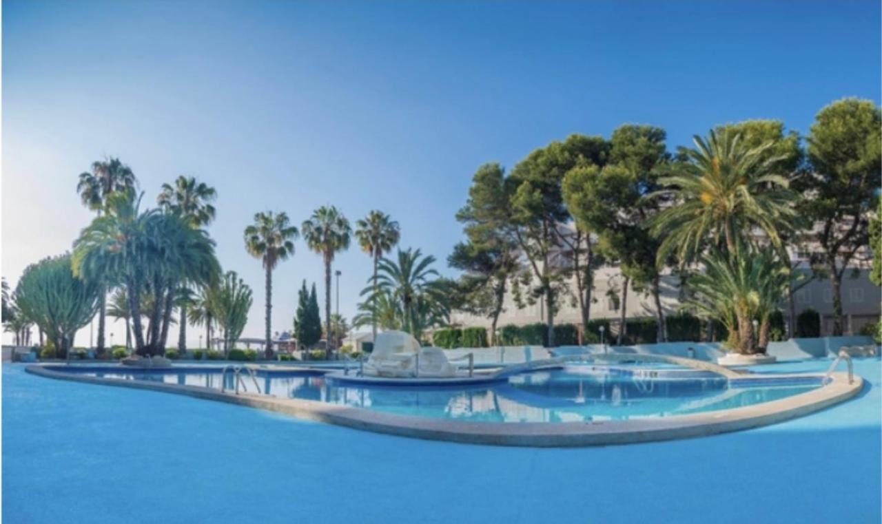 Paraiso Playa Primera Linea Apartment *